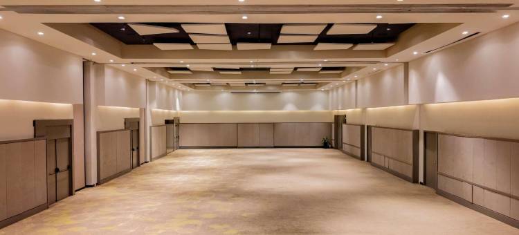 铂尔曼圣保罗瓜鲁柳斯机场(Pullman São Paulo Guarulhos Airport)图片