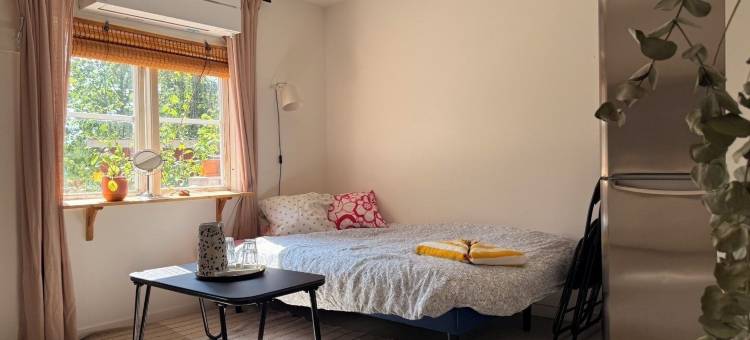 Enhörna的小型住宅(Tiny House at Enhörna)图片