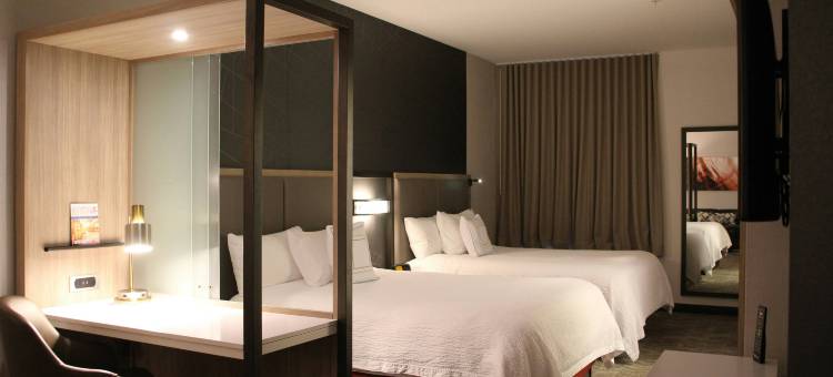 巴尔的摩白沼泽中河SpringHill Suites酒店(SpringHill Suites Baltimore White Marsh/Middle River)图片