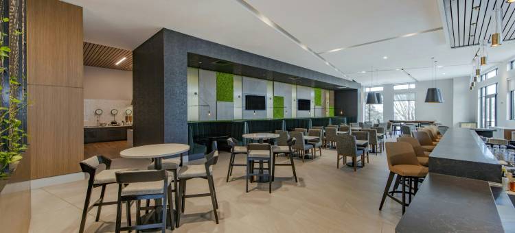 希尔顿使馆套房阿什维尔市中心(Embassy Suites by Hilton Asheville Downtown)图片
