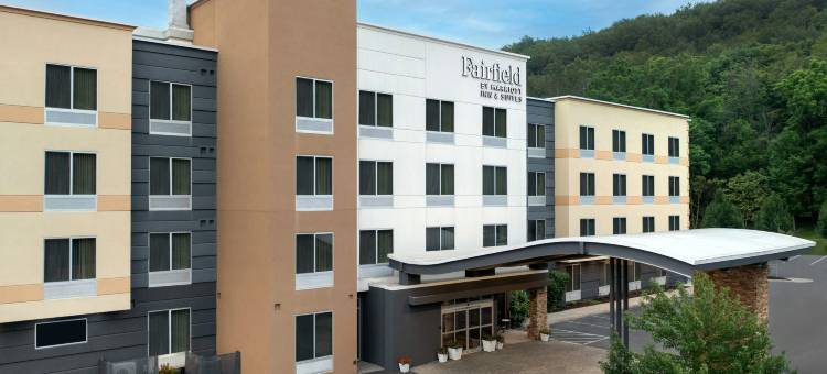 伊萨卡万枫酒店及套房(Fairfield Inn & Suites Ithaca)图片