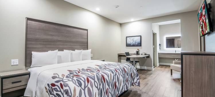 贝敦红顶酒店(Red Roof Inn Baytown)图片