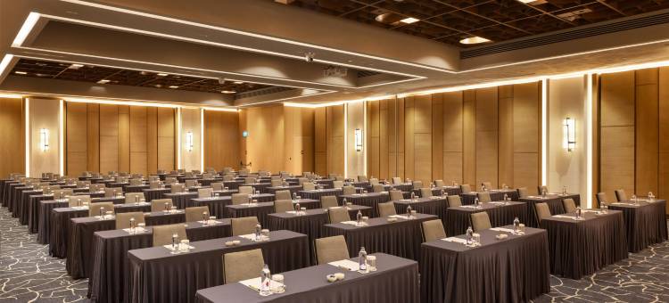 希尔顿伊斯坦布尔机场酒店(Hilton Istanbul Airport)图片
