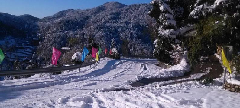 天台仙竹农家图片