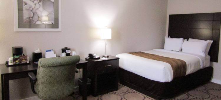 基西米湖畔凯艺套房酒店(Quality Inn & Suites Kissimmee by the Lake)图片