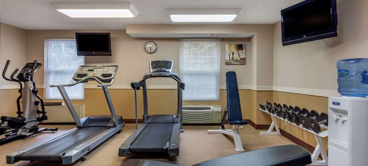 福克斯伯勒-曼斯菲尔德舒适酒店(Comfort Inn Foxboro - Mansfield)图片