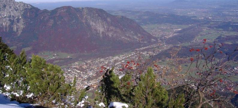 福伯格酒店(Landhaus Fürberger)图片