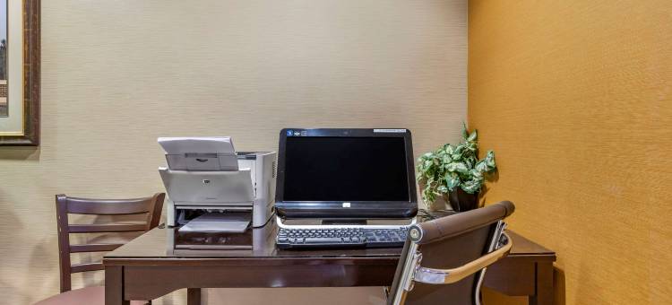 东兰辛奥克莫斯舒适酒店(Comfort Inn Okemos - East Lansing)图片