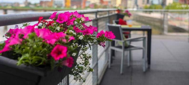 利莫瑞克克莱顿酒店(Clayton Hotel Limerick)图片