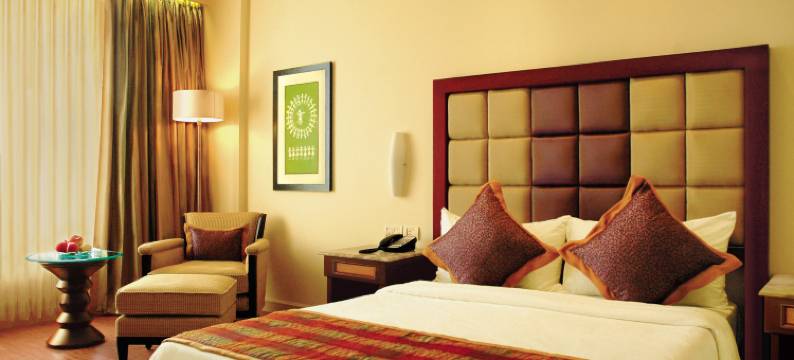 蓝钻石 IHCL 精选酒店(Blue Diamond Pune Ihcl SeleQtions)图片