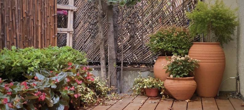 Gefii民宿(衡山路1号分店)图片