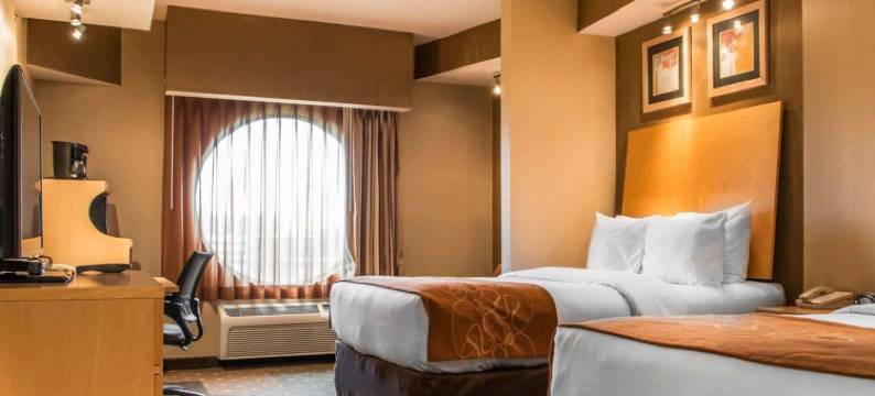 舒适套房酒店(Comfort Suites)图片