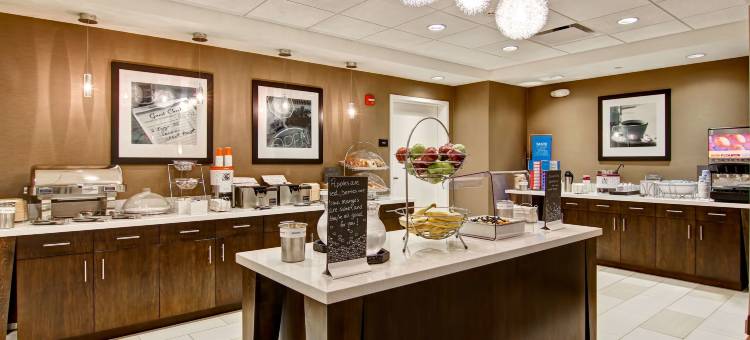 底特律特洛伊欢朋套房酒店(Hampton Inn & Suites Detroit/Troy)图片