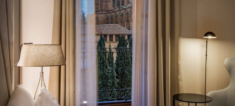 萨拉曼卡卡斯泰拉诺斯宫NH典藏酒店(NH Collection Salamanca Palacio de Castellanos)图片