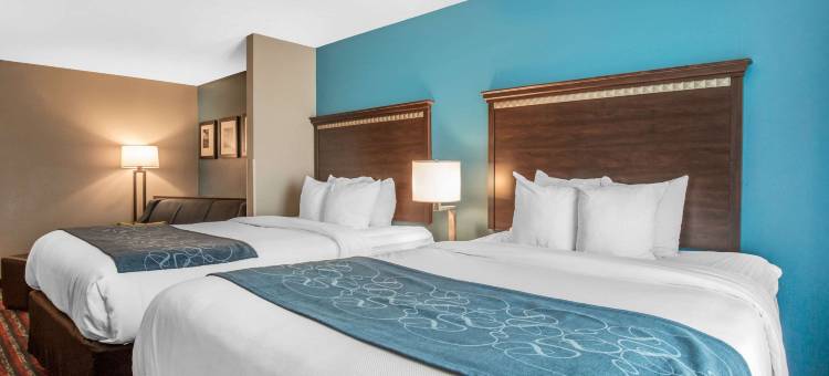 费尔维尤高地舒适套房酒店(Comfort Suites)图片