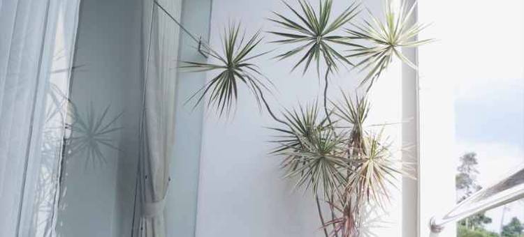 庞多坎吉布瑞尔酒店(Pondokan Tjiburial)图片