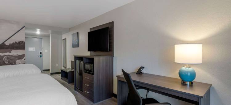 麦克多诺凯隆波因特酒店(Clarion Pointe McDonough)图片