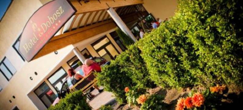 多博思酒店(Hotel Dobosz)图片