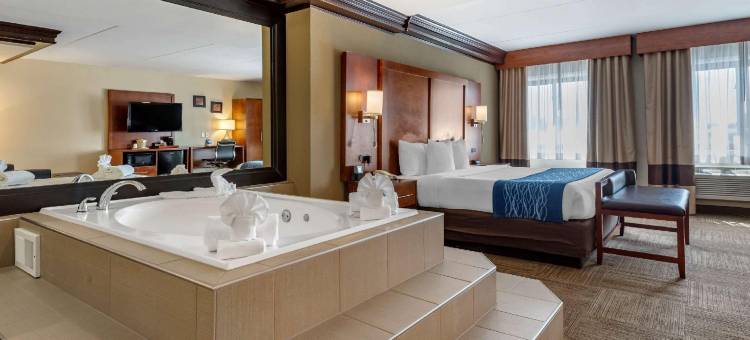 舒适酒店埃奇沃特哈德逊河畔(Comfort Inn Edgewater on Hudson River)图片