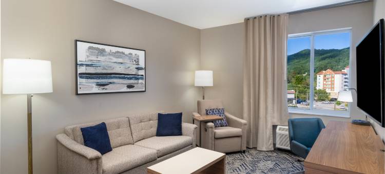 阿什维尔市中心洲际Candlewood套房酒店(Candlewood Suites ASHEVILLE DOWNTOWN by IHG)图片