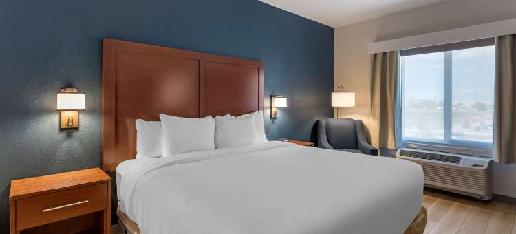 舒适套房酒店(Comfort Inn & Suites Bennett)图片