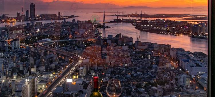ART 大阪湾酒店(Art Hotel Osaka Bay Tower)图片
