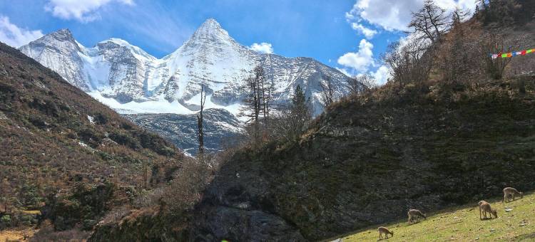 康定悠悠怡居民宿图片