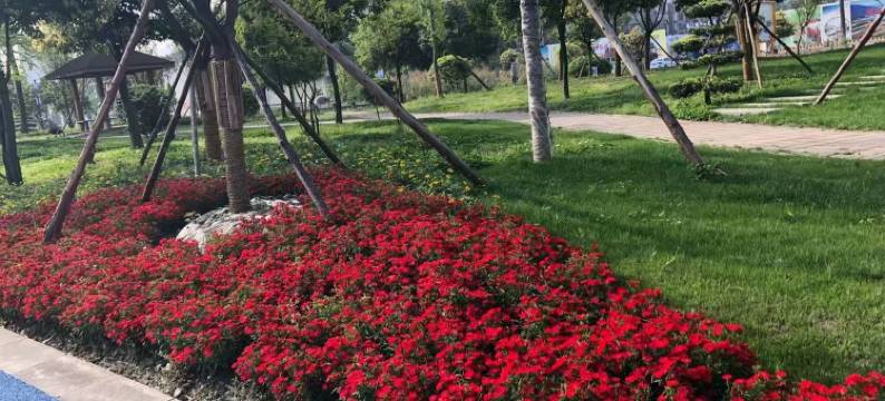 雍琼英公寓(永安大道北一段分店)图片