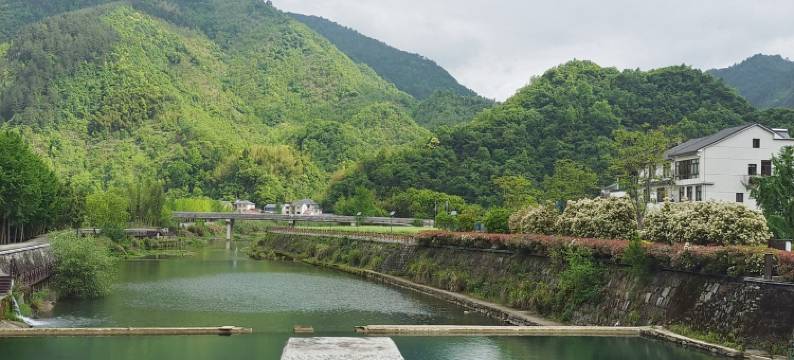 临安湍口东篱小筑民宿(湍考线1号分店)图片