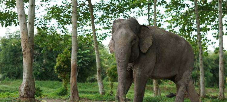 北干巴鲁南西斯家庭旅馆(The Nancy's Homestay Pekanbaru Mitra RedDoorz)图片