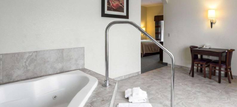 品质酒店丽晶(Quality Inn Donaldsonville - Gonzales)图片