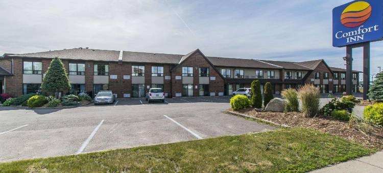 舒适酒店(Comfort Inn)图片