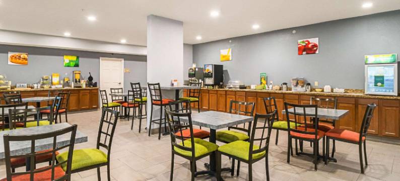 滑铁卢郊区开间公寓(Suburban Studios Waterloo)图片