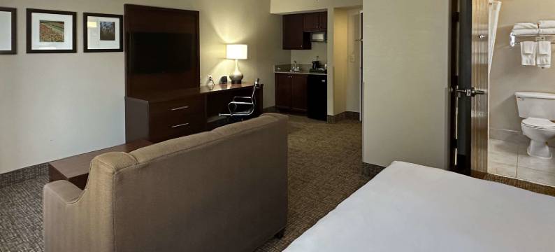 夏洛特洲际套房酒店(Charlotte Suites by IHG)图片