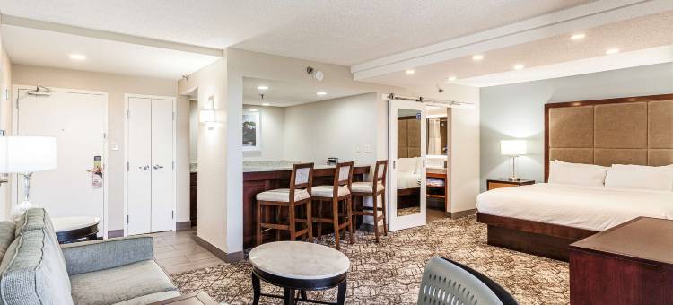 孟菲斯逸林酒店(DoubleTree by Hilton Memphis)图片