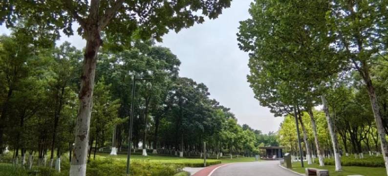 伍文波公寓(福畅路分店)图片