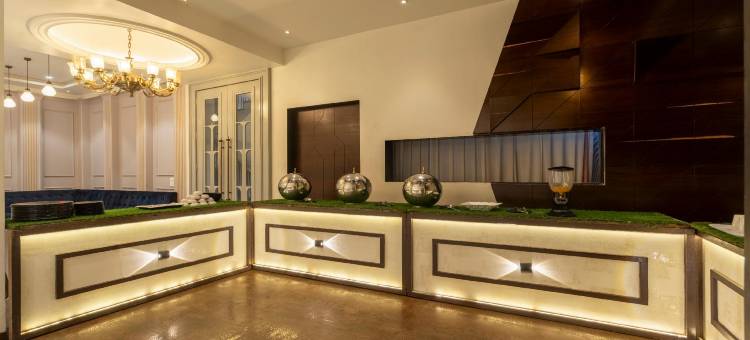 Treebo 普拉沙(Treebo Prasha)图片