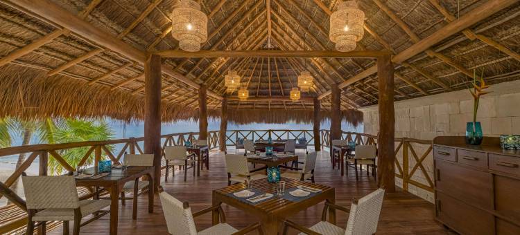 玛雅海滨维瑟洛伊奢华别墅度假村(Viceroy Riviera Maya)图片