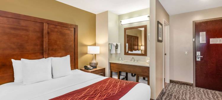 洛杉矶蒙特雷公园舒适酒店(Comfort Inn Monterey Park - Los Angeles)图片