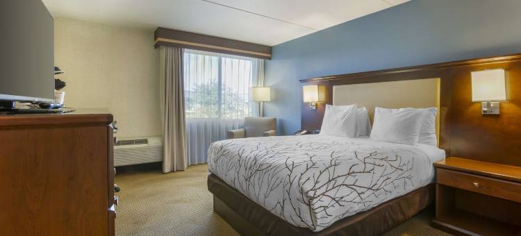 科达伦贝斯特韦斯特优质酒店(Best Western Plus Coeur DAlene Inn)图片