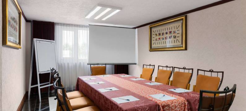 托卢卡温德姆豪生酒店(Howard Johnson by Wyndham Toluca)图片