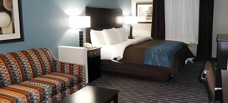 舒适酒店-利斯萨米特50号及291号高速公路(Comfort Inn Lees Summit - Hwy 50 & Hwy 291)图片