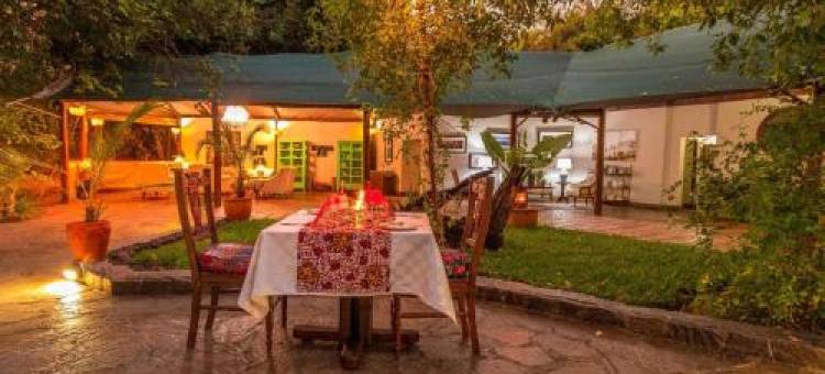 Tintswalo Siankaba图片