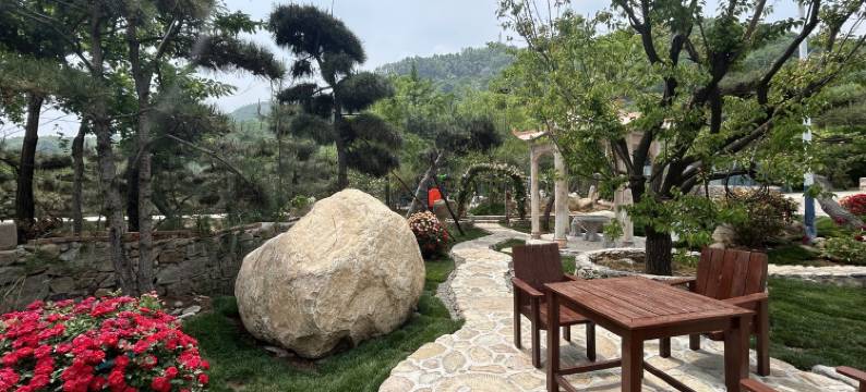 泰山培培度假别墅(泰佛路1号分店)图片