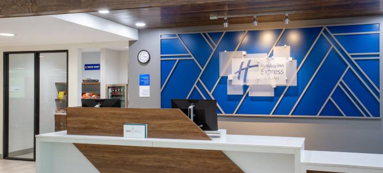 智选假日套房酒店布雷登顿(Holiday Inn Express & Suites BRADENTON EAST-LAKEWOOD RANCH by IHG)图片