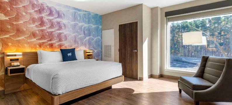 坎布里亚酒店-曼彻斯特南温莎(Cambria Hotel Manchester South Windsor)图片