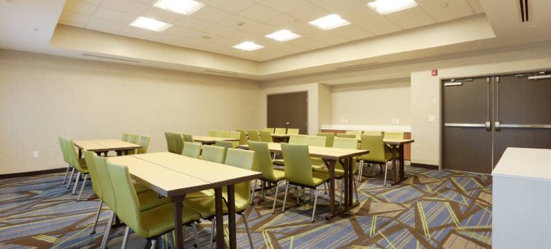 奥尼昂塔智选假日酒店(Holiday Inn Express ONEONTA by IHG)图片