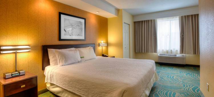 坦帕布兰登万豪SpringHill酒店(SpringHill Suites Tampa Brandon)图片