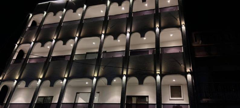 辉煌的纳特拉吉(The Flamboyant Natraj)图片