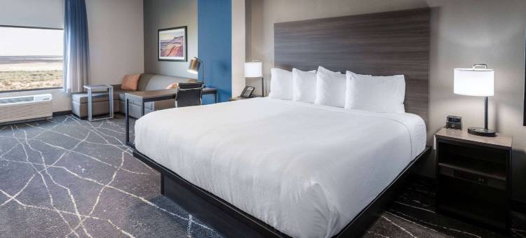 La Quinta Inn & Suites by Wyndham Holbrook Petrified Forest图片